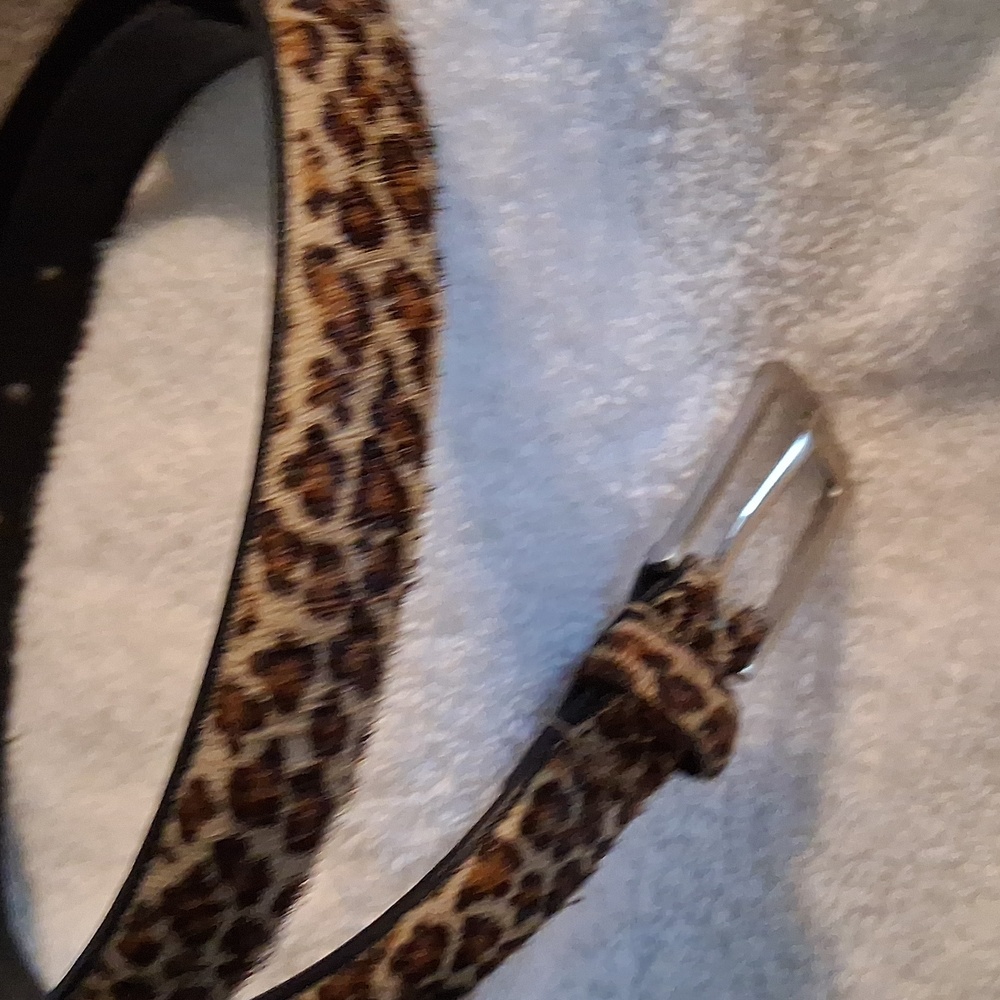 Belt - Picture 3 of 4